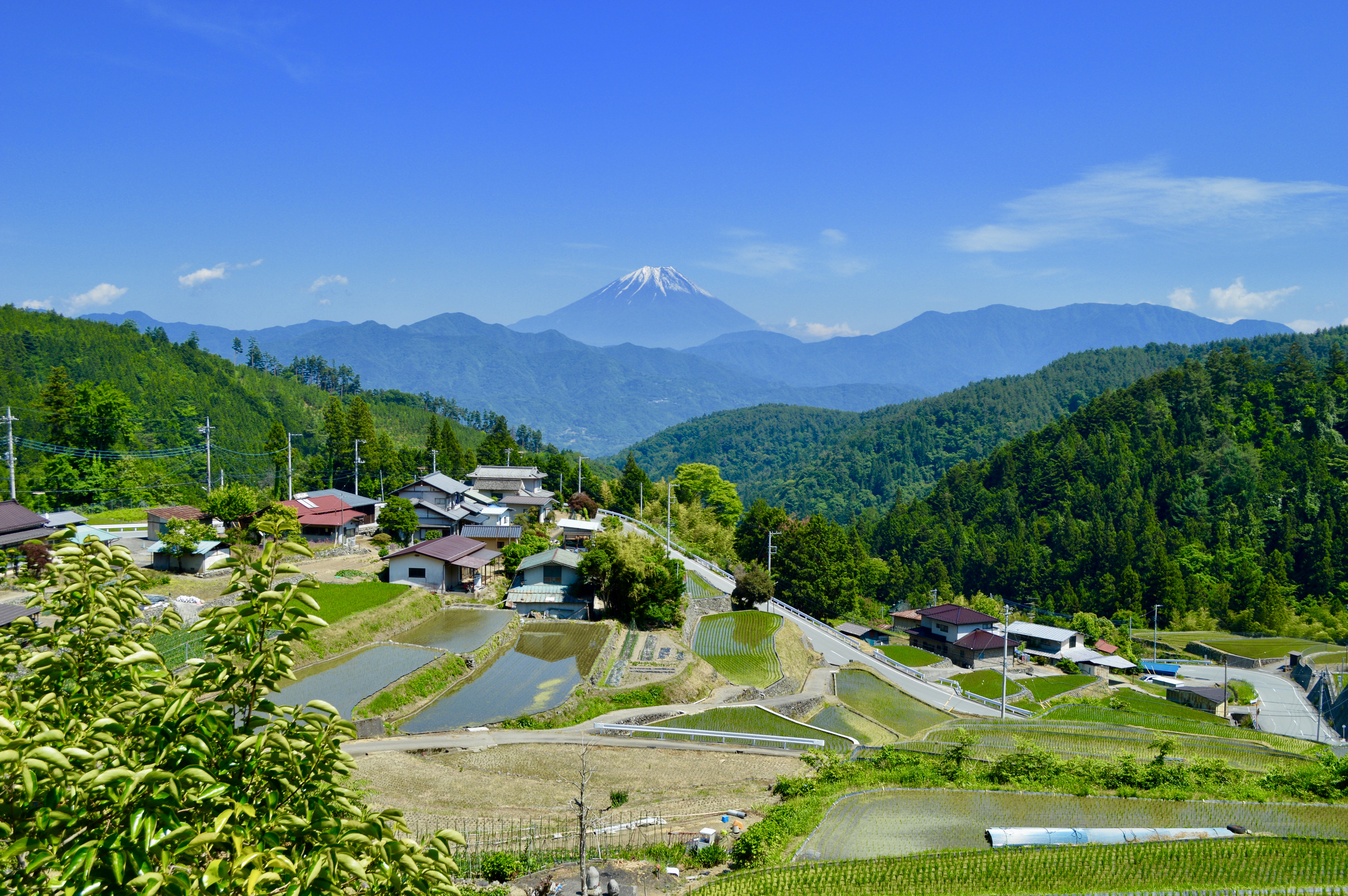 View of Mount Fuji while cycling in the foothills of the Japanese South Alps!