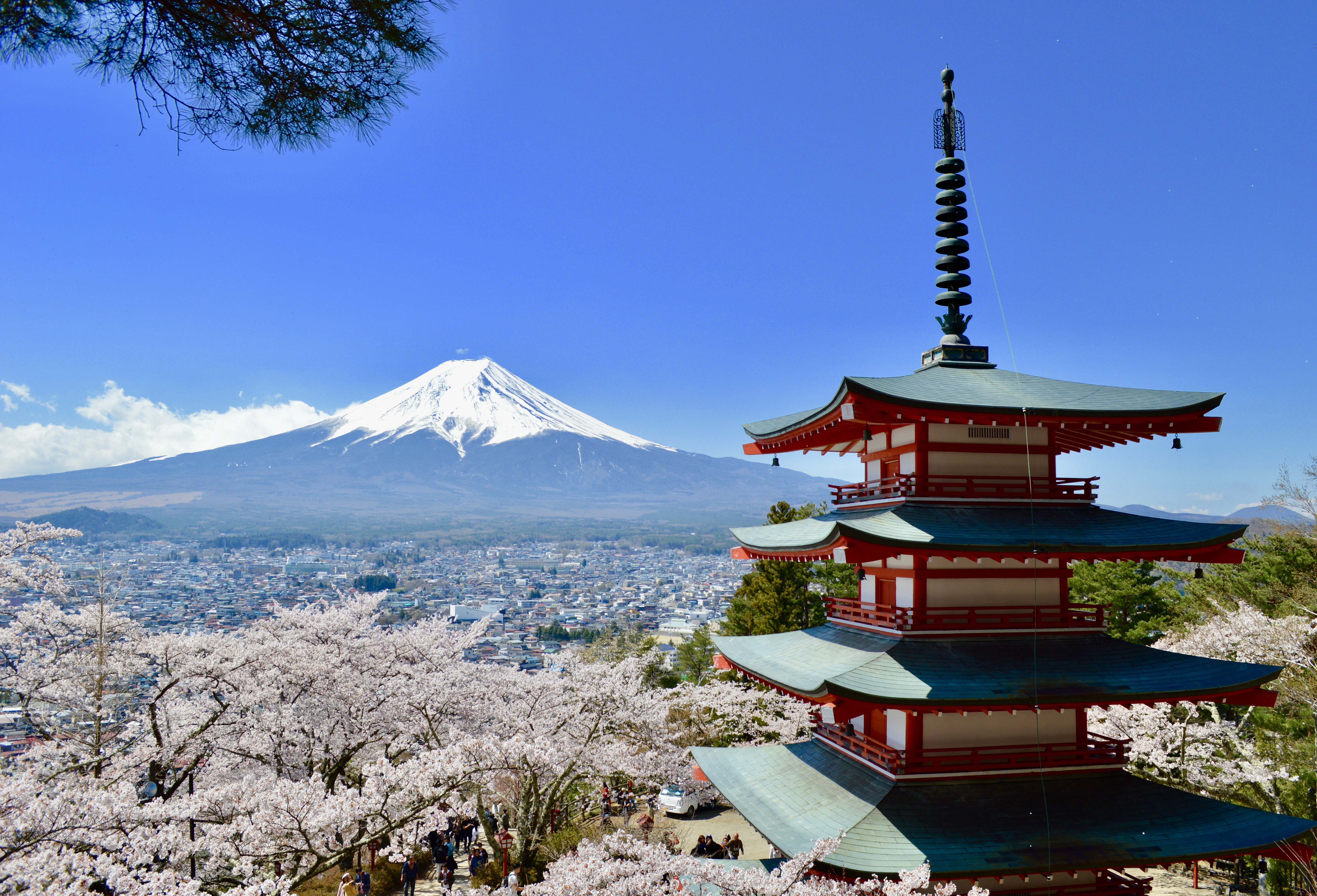 Chureito Pagoda in Spring