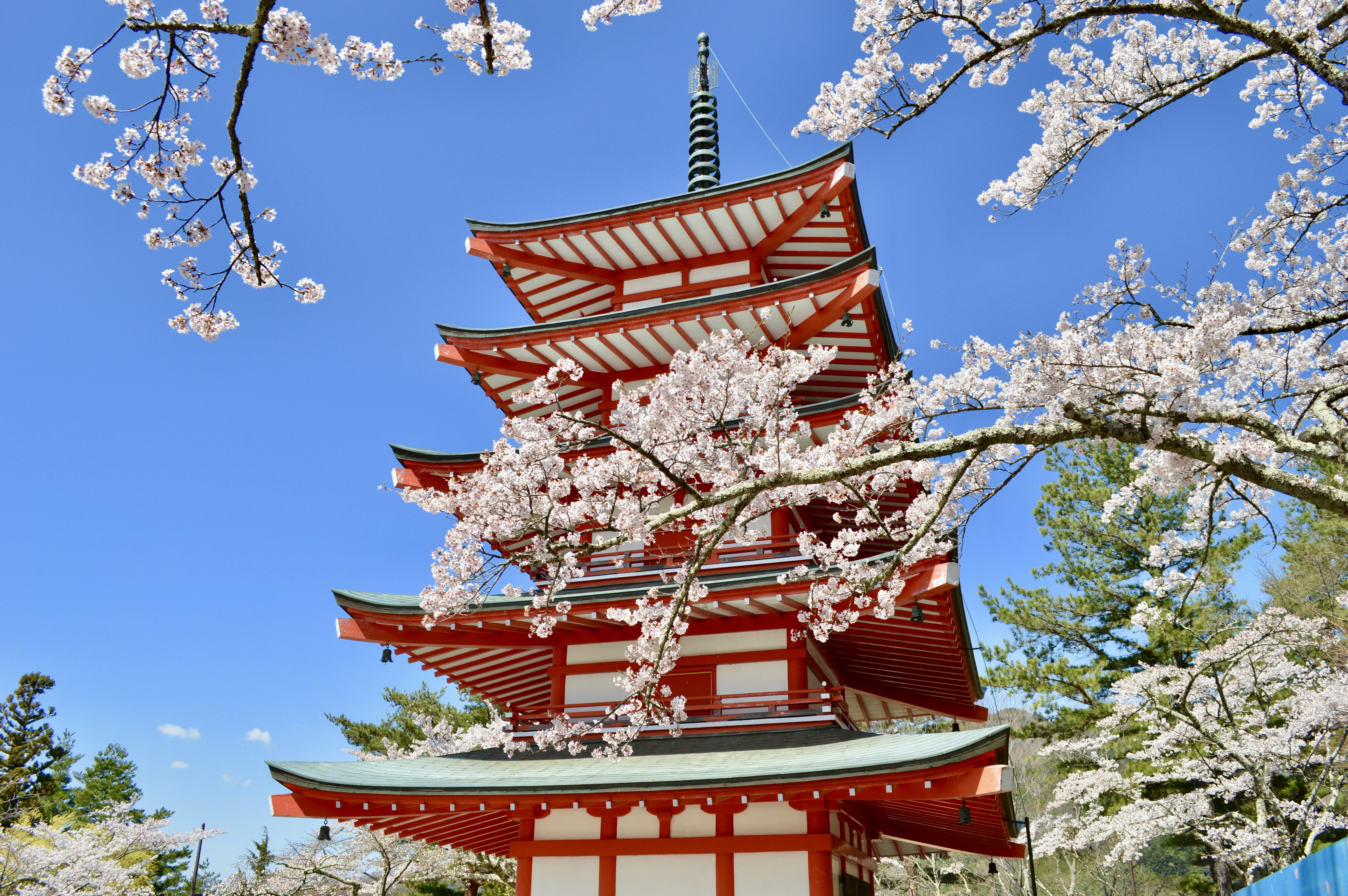A close-up of Chureito Pagoda