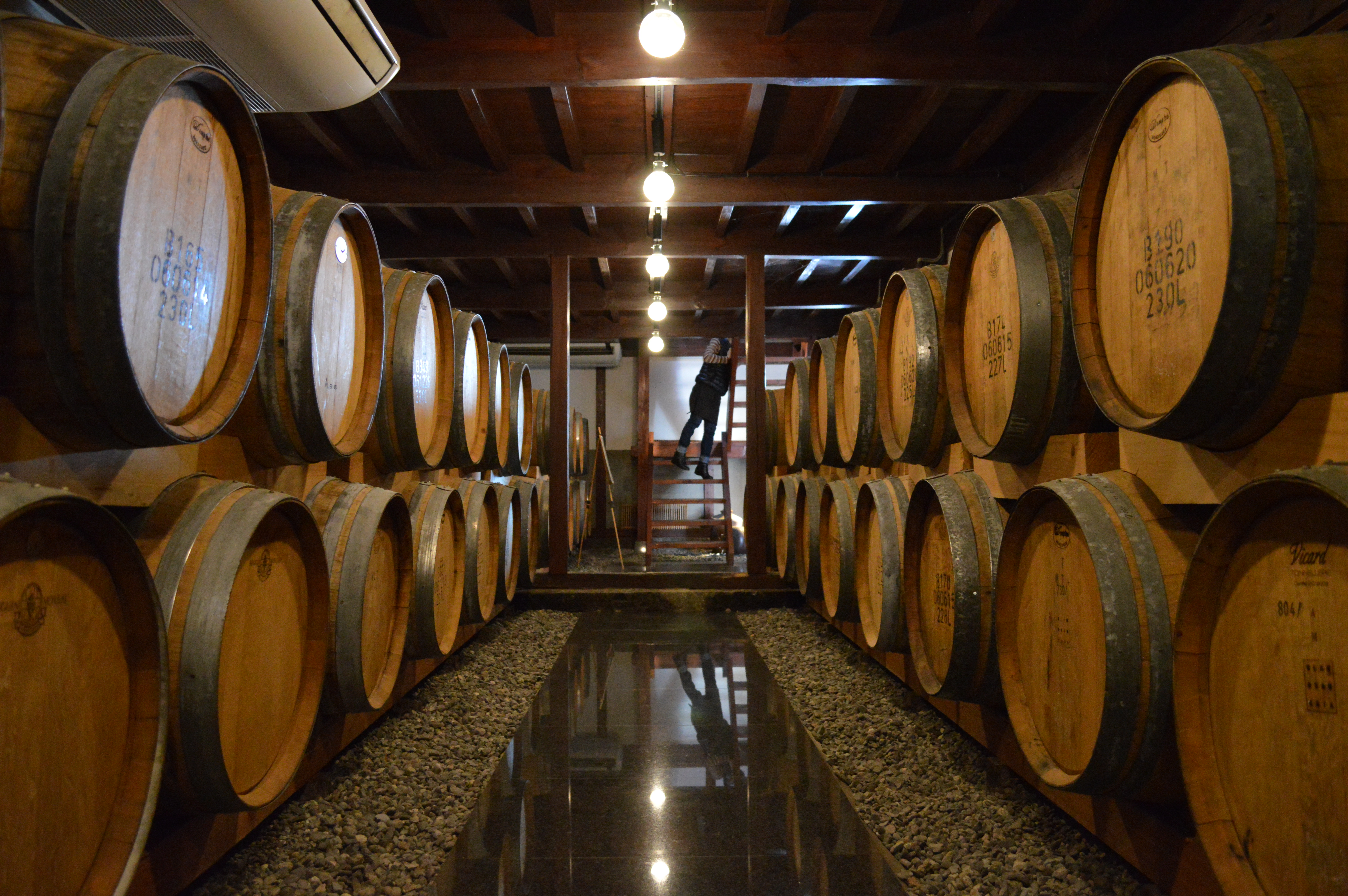 Katsunuma Jyozo Winery