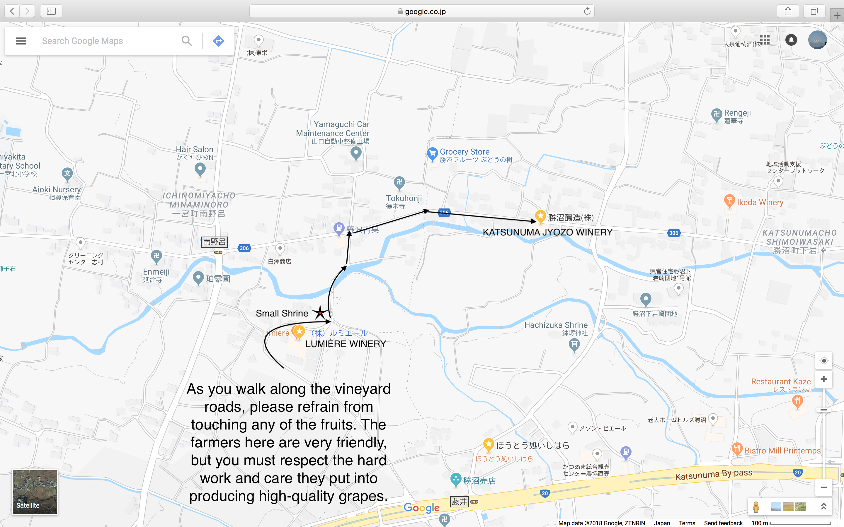 LUMIÈRE TO KATSUNUMA JYOZO WINERY