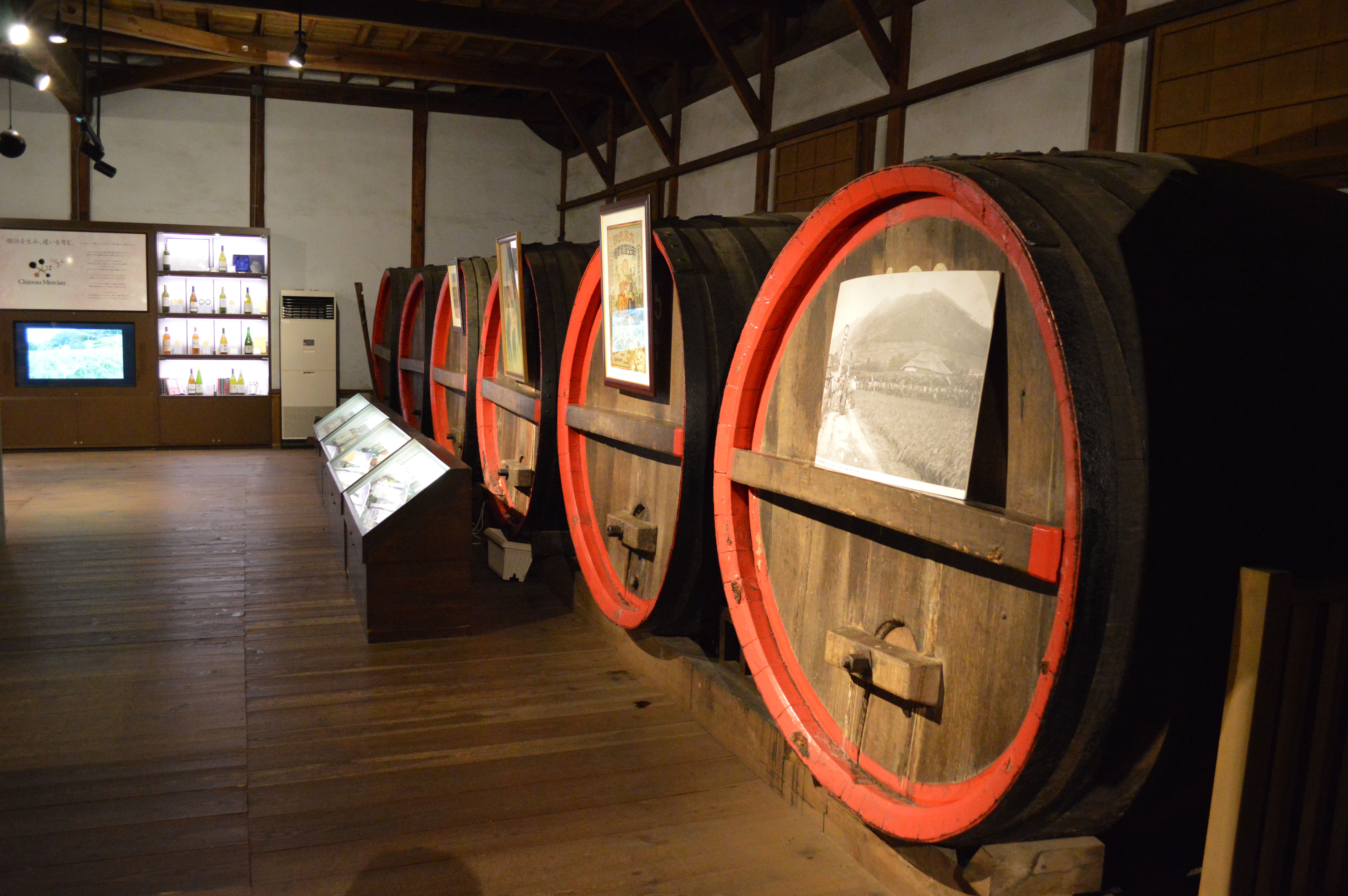 Enormous oak barrels