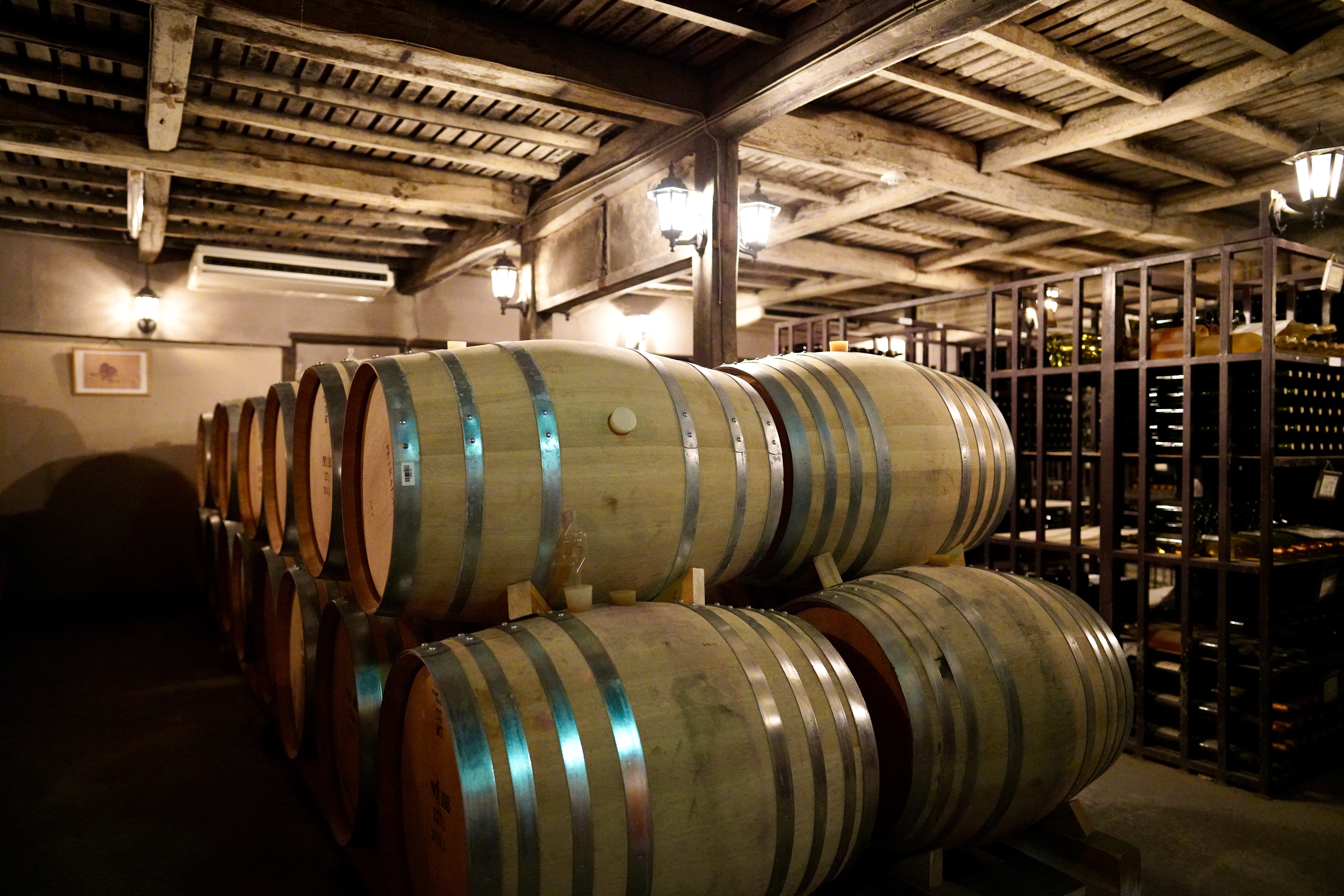 58CF9FFA-CA9C-4706-995F-321D94BCB688_1_201_a