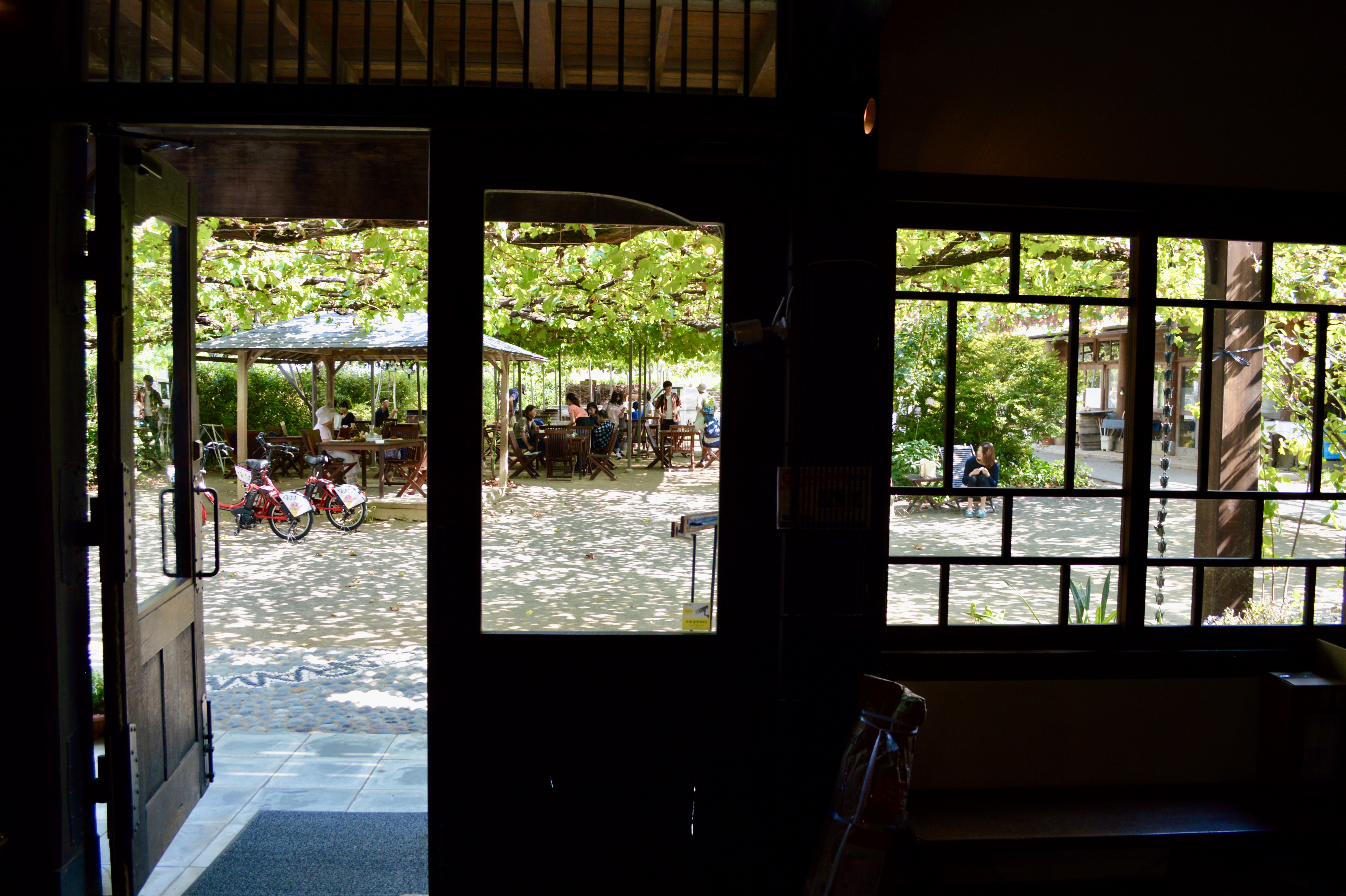 The view from the tasting room at Haramo Winery.