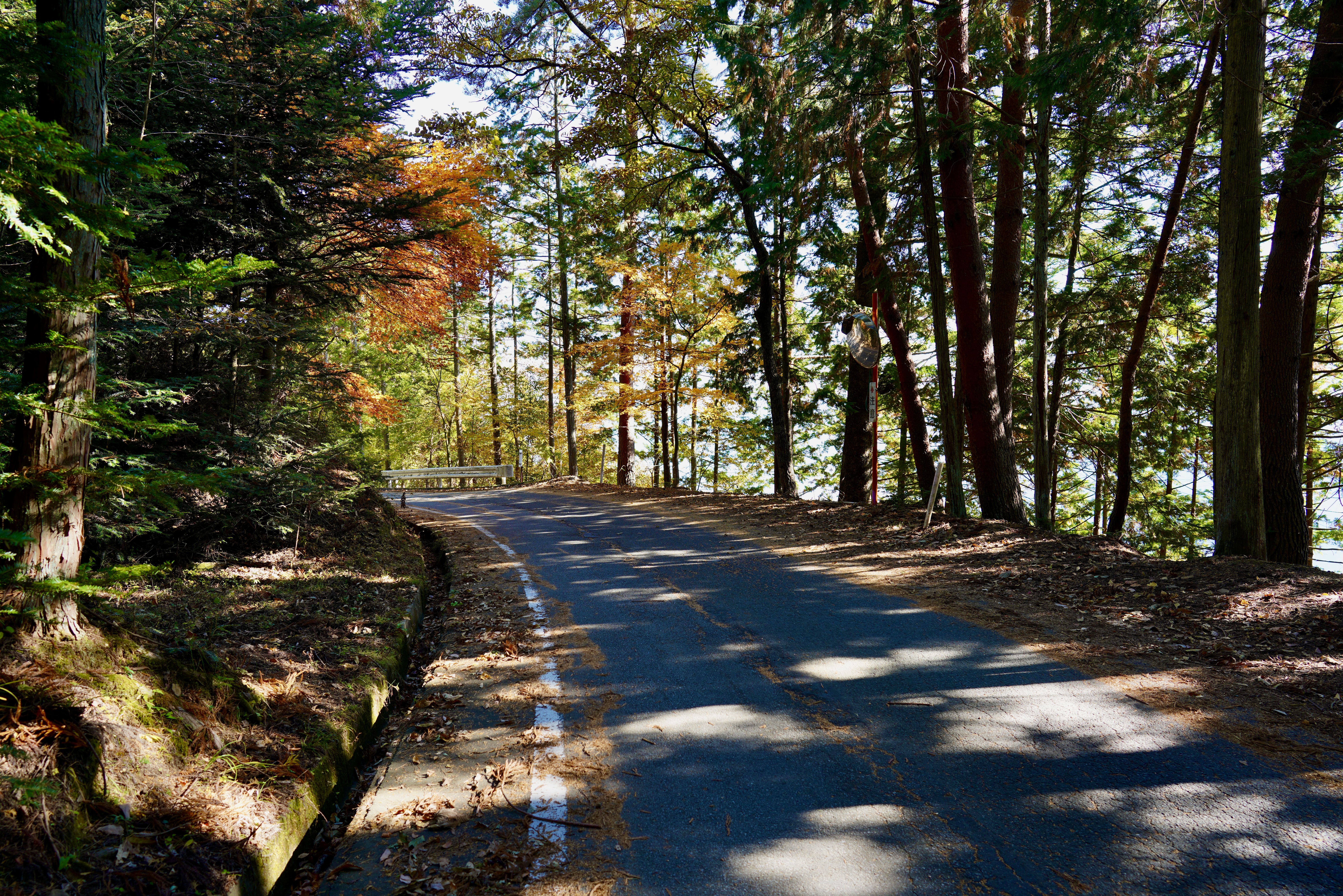 Cycling in the South Alps, Yamanashi